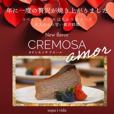 画像1: 【バレンタイン期間限定・５号１ホール】ＣＲＥＭＯＳＡ amor（クレモッサ・アモール）プレミアムはちみつバスクチーズケーキ (1)