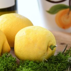 画像4: 【夏季限定・５号１ホール】CREMOSA limón（クレモッサ・リモン）プレミアムはちみつバスクチーズケーキ (4)