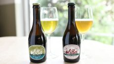 画像9: スペインクラフトビール oliBa オリーブビール グラス付ギフトセット (9)
